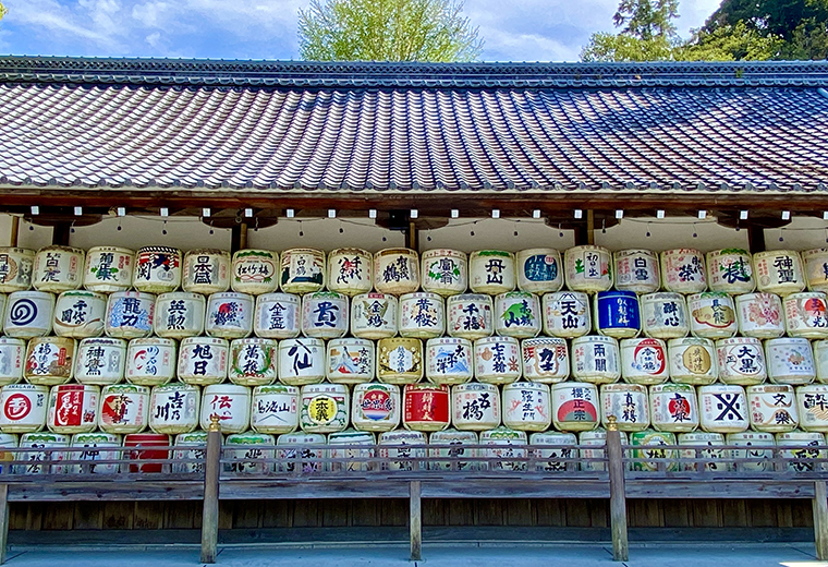 杉と日本酒